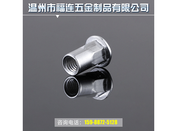 304不銹鋼平頭內(nèi)外半六角紋鉚螺帽